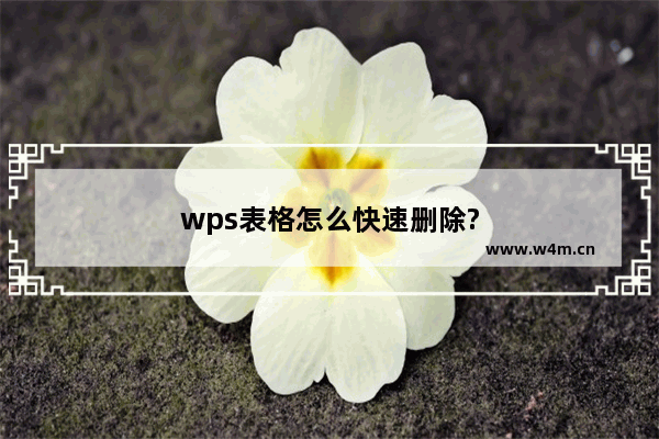 wps表格怎么快速删除?