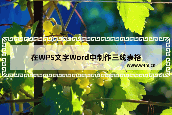 在WPS文字Word中制作三线表格