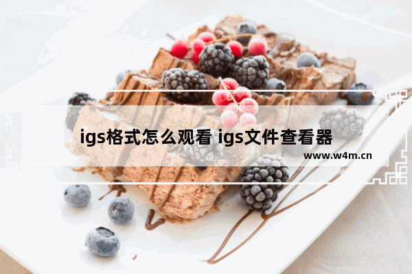 igs格式怎么观看 igs文件查看器