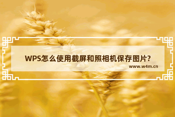 WPS怎么使用截屏和照相机保存图片?