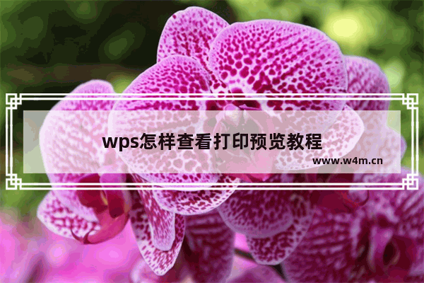 wps怎样查看打印预览教程