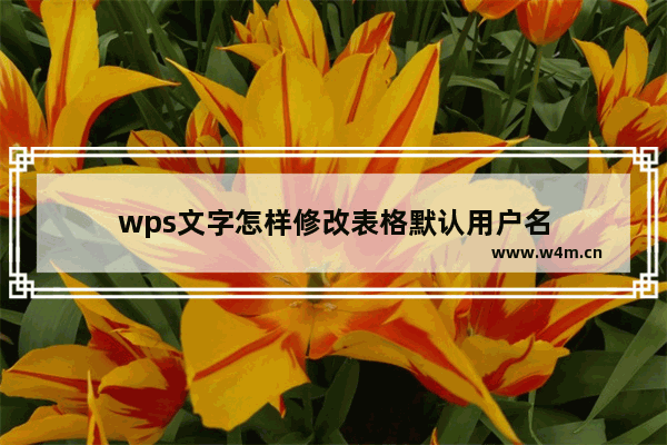 wps文字怎样修改表格默认用户名