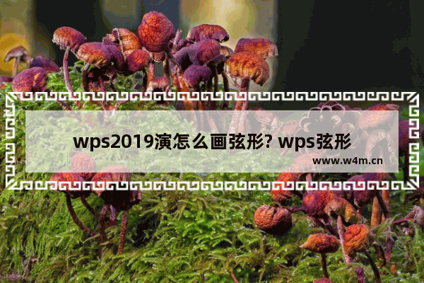 wps2019演怎么画弦形? wps弦形画法