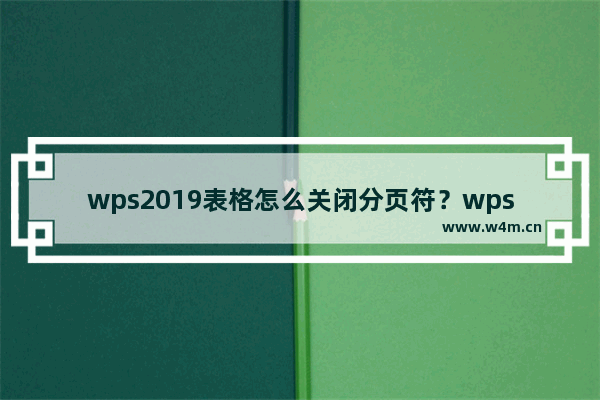 wps2019表格怎么关闭分页符？wps2019表格关闭显示分页符方法