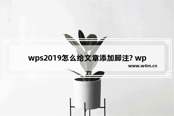 wps2019怎么给文章添加脚注? wps脚注的添加方法