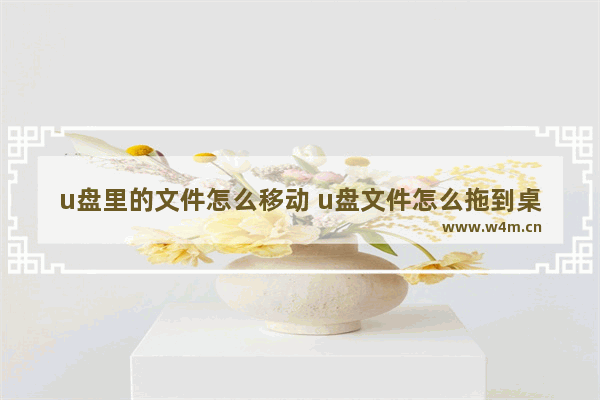 u盘里的文件怎么移动 u盘文件怎么拖到桌面