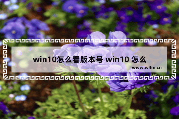 win10怎么看版本号 win10 怎么查看版本号