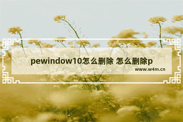 pewindow10怎么删除 怎么删除pe windows