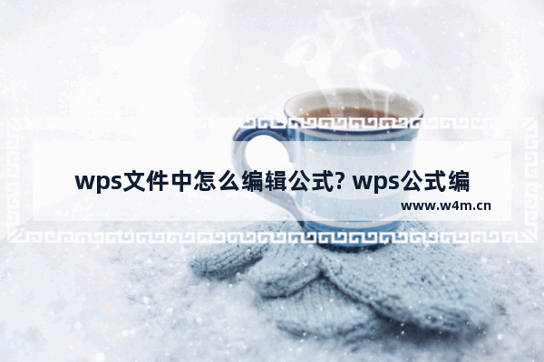 wps文件中怎么编辑公式? wps公式编辑器的使用教程