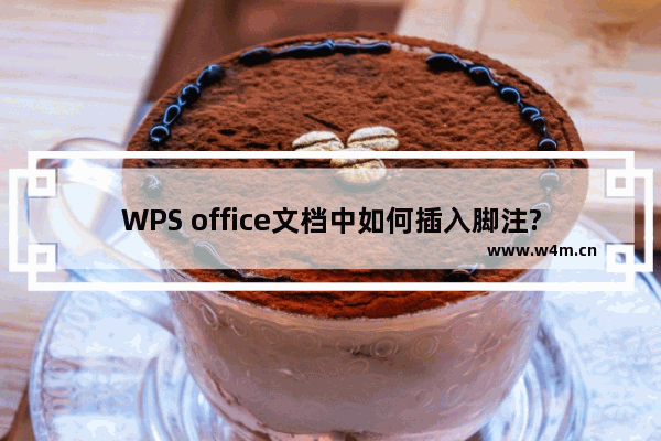 WPS office文档中如何插入脚注?