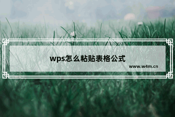 wps怎么粘贴表格公式