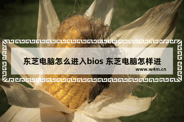 东芝电脑怎么进入bios 东芝电脑怎样进入bios