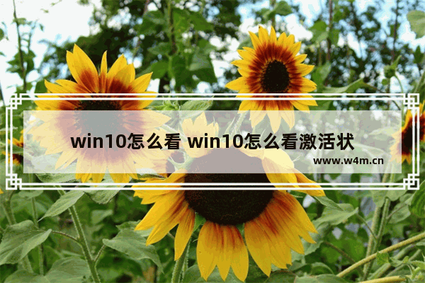 win10怎么看 win10怎么看激活状态