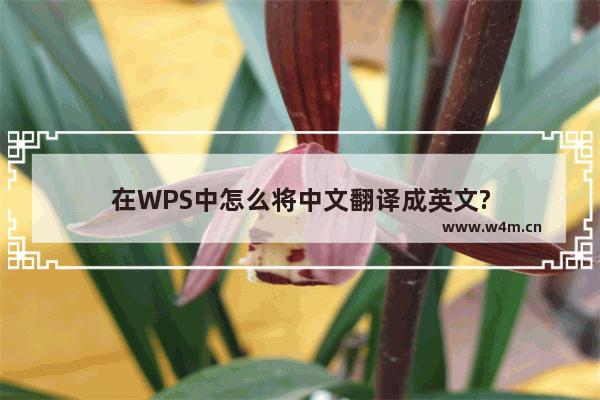 在WPS中怎么将中文翻译成英文?