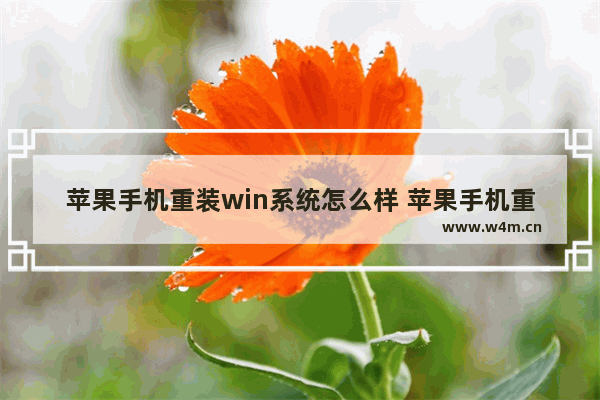 苹果手机重装win系统怎么样 苹果手机重装win系统怎么样操作