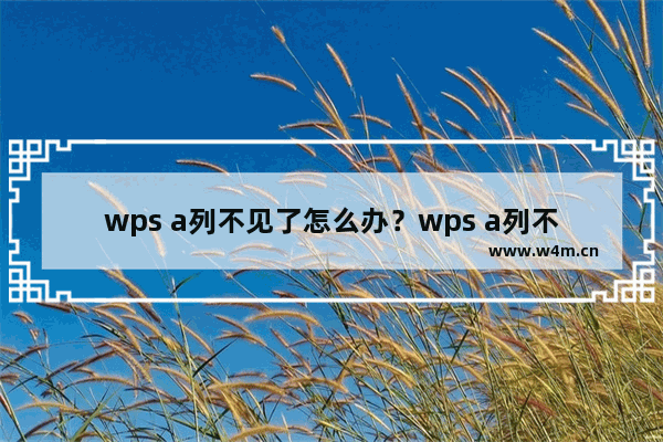 wps a列不见了怎么办？wps a列不见了的解决方法