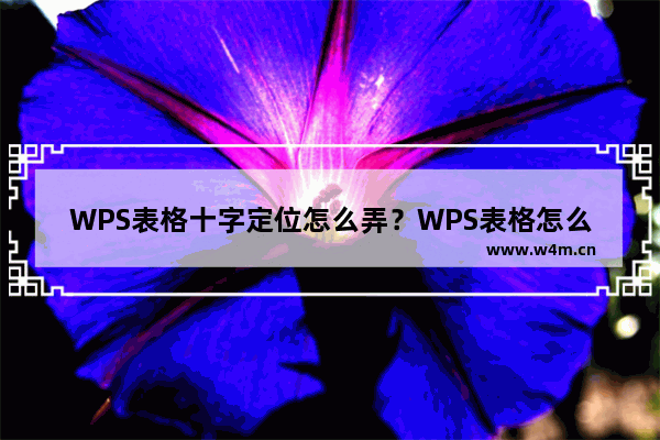 WPS表格十字定位怎么弄？WPS表格怎么设置定位单元格的十字？