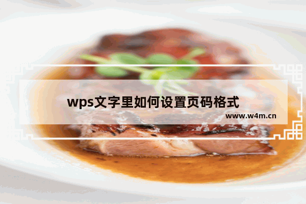 wps文字里如何设置页码格式