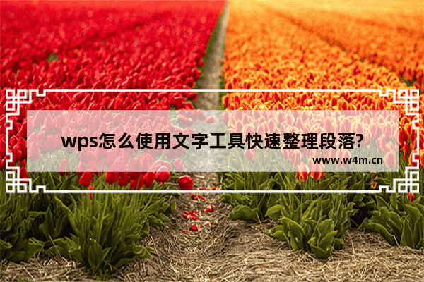 wps怎么使用文字工具快速整理段落?