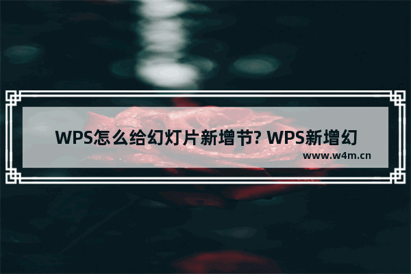 WPS怎么给幻灯片新增节? WPS新增幻灯片的教程