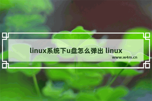 linux系统下u盘怎么弹出 linux 弹出u盘