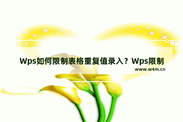 Wps如何限制表格重复值录入？Wps限制表格重复值录入的方法