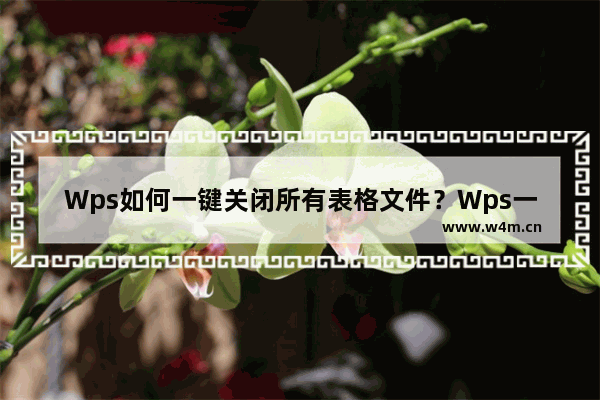 Wps如何一键关闭所有表格文件？Wps一键关闭所有表格文件的方法