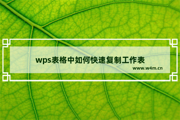 wps表格中如何快速复制工作表