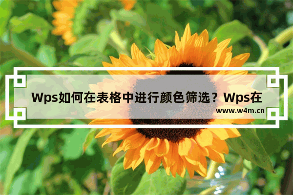 Wps如何在表格中进行颜色筛选？Wps在表格中进行颜色筛选的方法