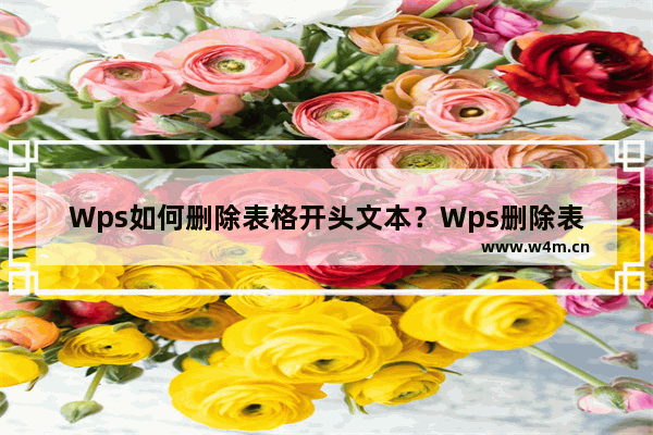 Wps如何删除表格开头文本？Wps删除表格开头文本的方法