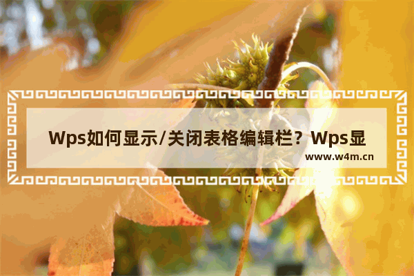 Wps如何显示/关闭表格编辑栏？Wps显示/关闭表格编辑栏方法