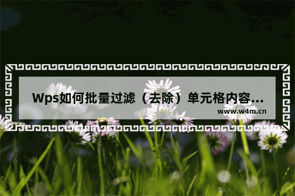 Wps如何批量过滤（去除）单元格内容？Wps批量过滤（去除）单元格内容方法