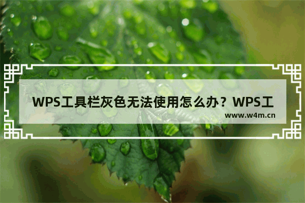 WPS工具栏灰色无法使用怎么办？WPS工具栏都是灰色不能编辑的解决方法