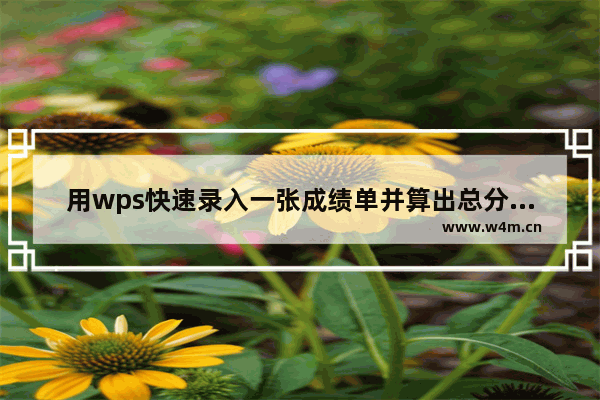 用wps快速录入一张成绩单并算出总分平均分等数值