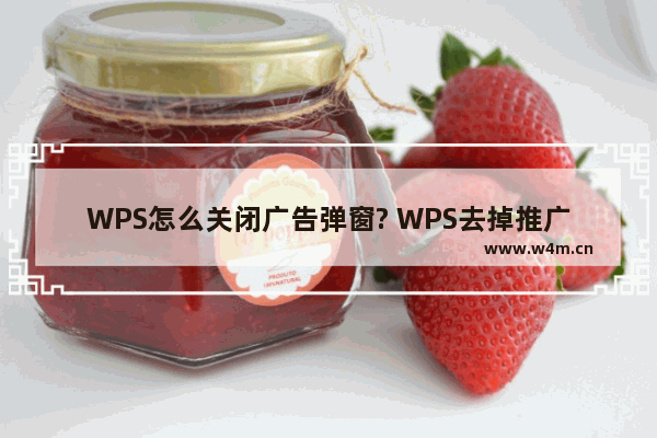 WPS怎么关闭广告弹窗? WPS去掉推广广告弹窗的详细教程