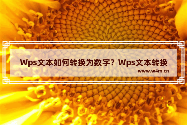 Wps文本如何转换为数字？Wps文本转换为数字的方法