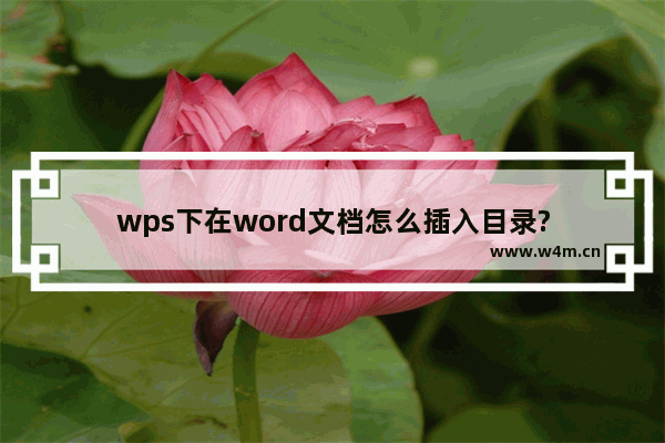 wps下在word文档怎么插入目录?