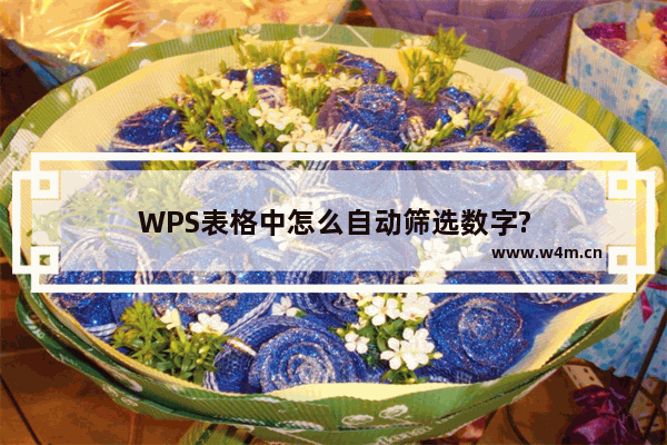 WPS表格中怎么自动筛选数字?