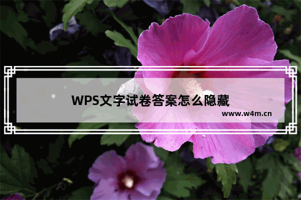 WPS文字试卷答案怎么隐藏