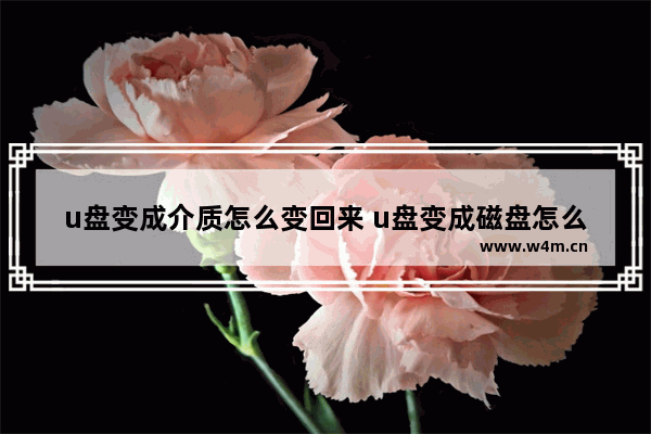 u盘变成介质怎么变回来 u盘变成磁盘怎么恢复