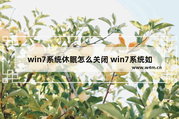 win7系统休眠怎么关闭 win7系统如何关闭休眠