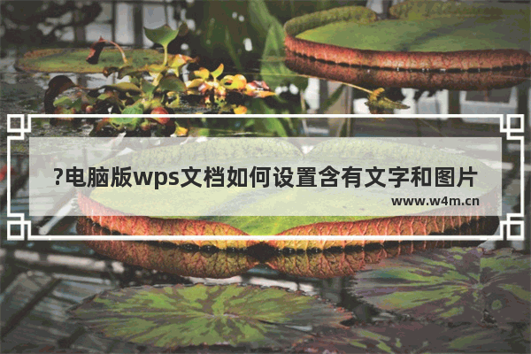 ?电脑版wps文档如何设置含有文字和图片的水印