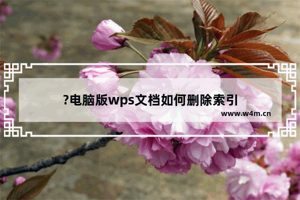 ?电脑版wps文档如何删除索引