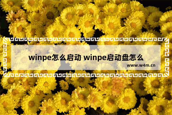 winpe怎么启动 winpe启动盘怎么进去