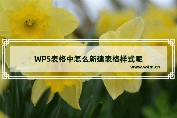 WPS表格中怎么新建表格样式呢