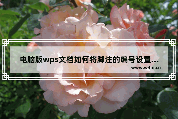 电脑版wps文档如何将脚注的编号设置为带圈的样式