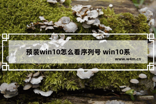 预装win10怎么看序列号 win10系统怎么看序列号