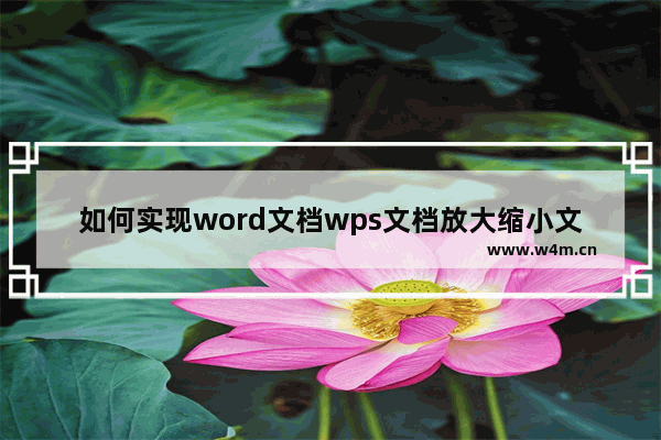 如何实现word文档wps文档放大缩小文档显示?