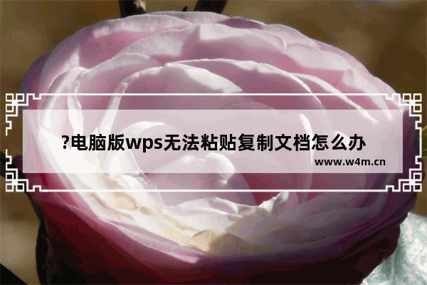 ?电脑版wps无法粘贴复制文档怎么办