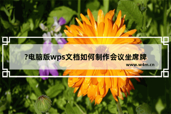 ?电脑版wps文档如何制作会议坐席牌